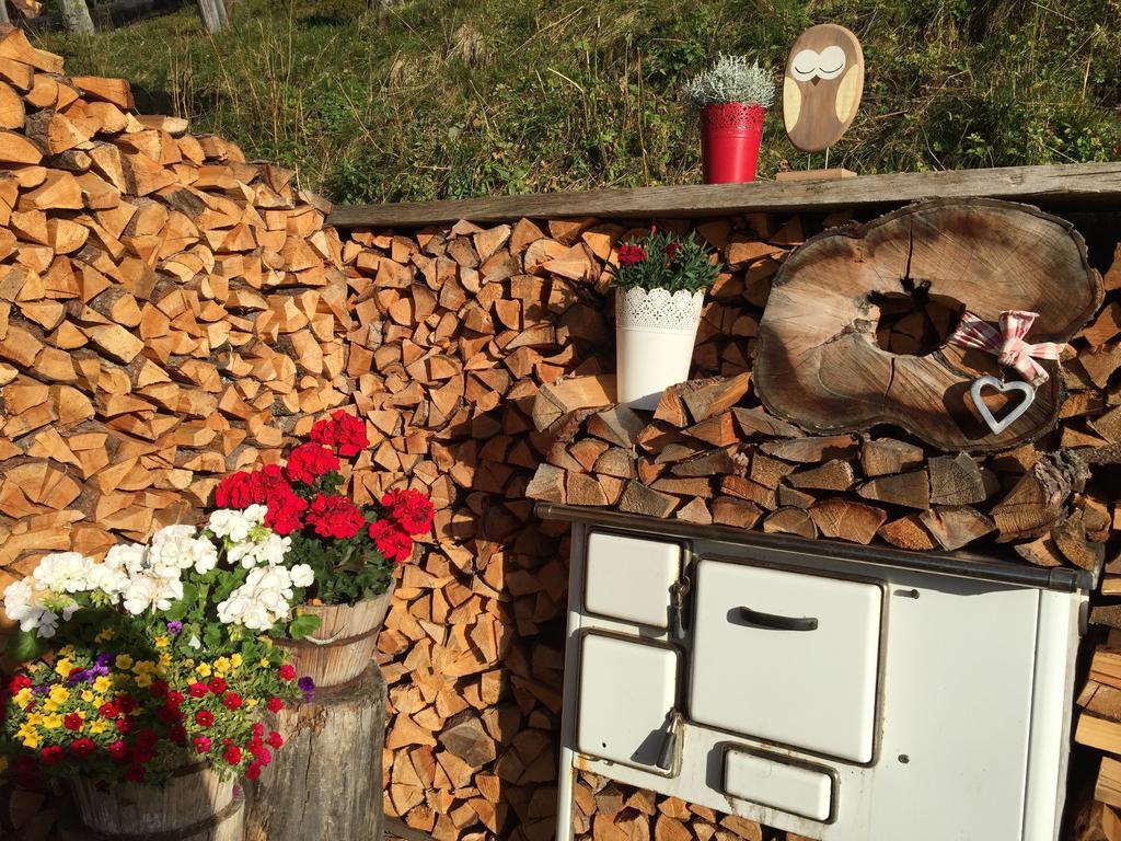 Apart Ferienraich Arzl im Pitztal Kültér fotó